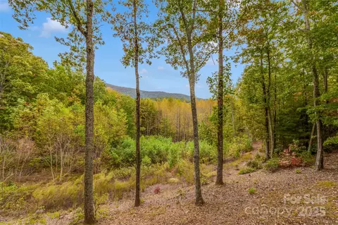 Other - 387 Wesley Ln, Saluda, NC 28773 photo 10 of 10