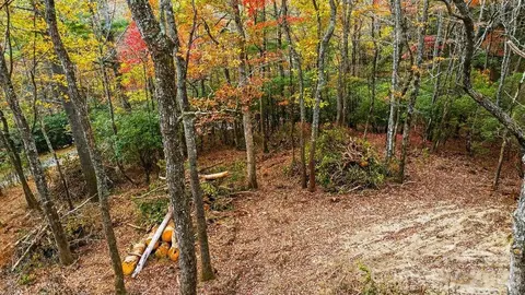 000 Indian Lake 21 Rd #21, Lake Toxaway, NC 28747