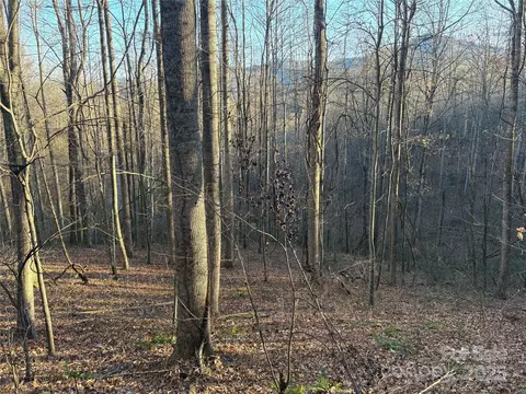 28 Cadillac Pointe Pointe, Waynesville, NC 28785