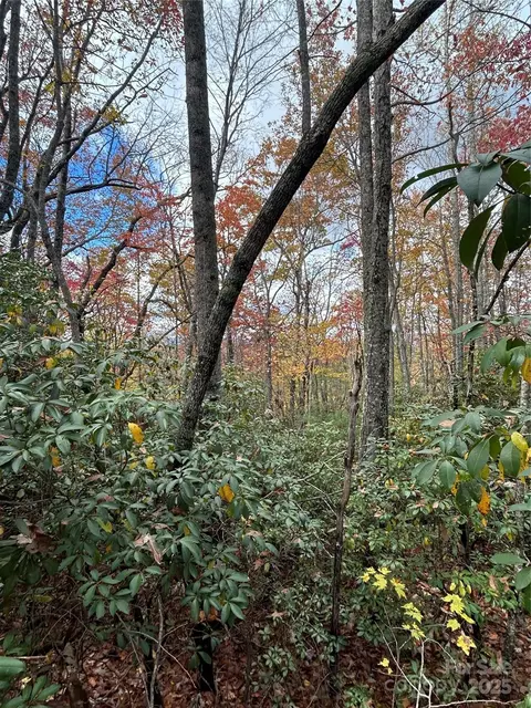 High Peak Road, Etowah, NC 28792