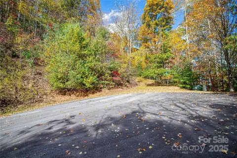 21 High Point Trail #21, Brevard, NC 28712 photo 6