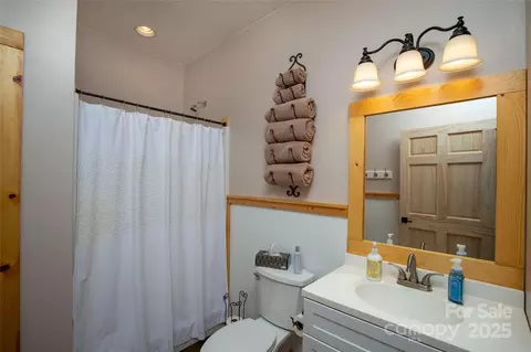 Bath - 905 Jay Bird Dr, Sylva, NC 28779 photo 3 of 3