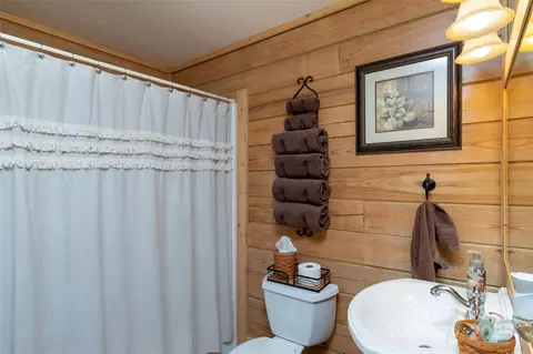 Bath - 905 Jay Bird Dr, Sylva, NC 28779 photo 2 of 3
