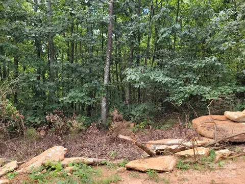 219 Judy Rd, Casar, NC 28020