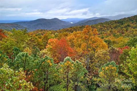 368 Sassafras 726 Dr #726, Old Fort, NC 28762