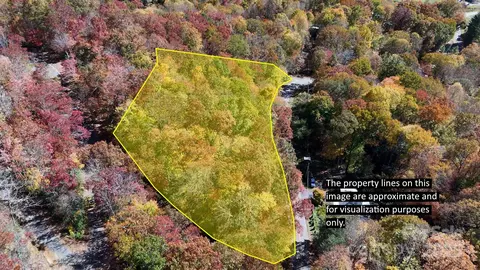 000 Sheepback Mountain Rd, Maggie Valley, NC 28751
