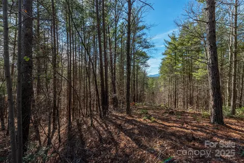1683 Pisgah Preserve Dr, Nebo, NC 28761