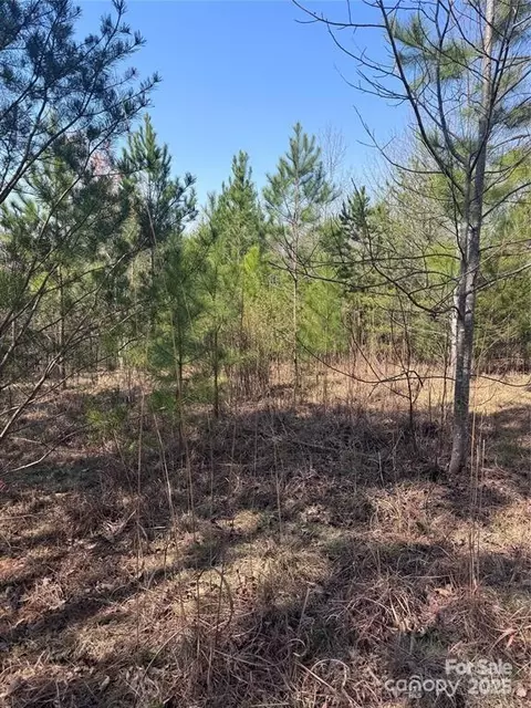 0 Cross Creek 277 Dr #277, Rutherfordton, NC 28139