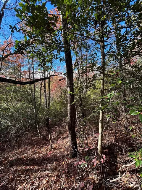 Oriole Road, Brevard, NC 28712 photo 6
