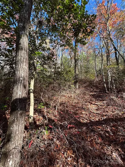 Oriole Road, Brevard, NC 28712 photo 2