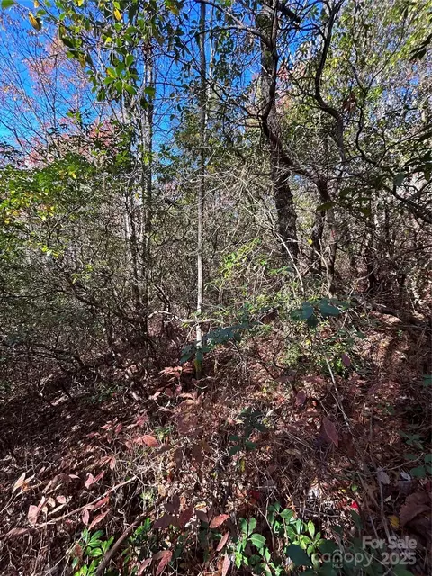 Oriole Road, Brevard, NC 28712 photo 4