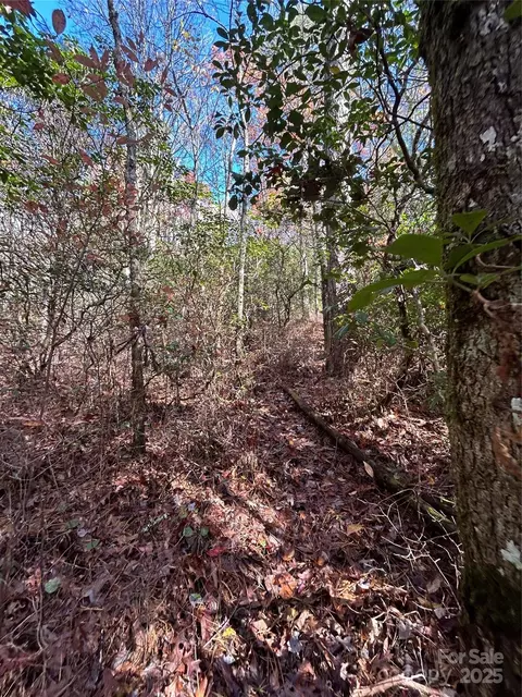 Oriole Road, Brevard, NC 28712 photo 3