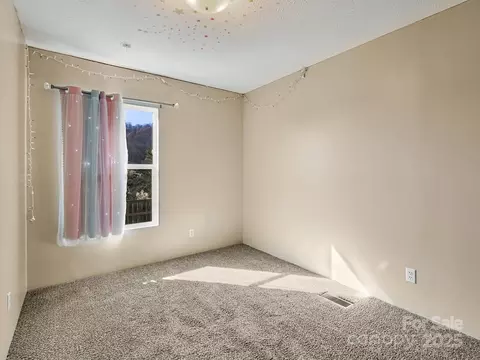 181 Azalea Cir, Marshall, NC 28753 photo 13