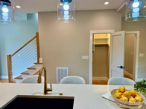 Other - 296 Gallimore Rd, Brevard, NC 28712 photo 2 of 9