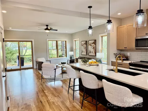 Other - 296 Gallimore Rd, Brevard, NC 28712 photo 1 of 9