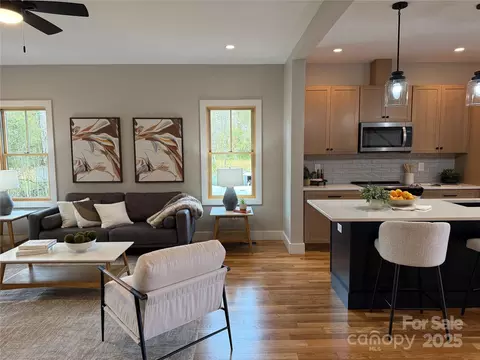 Living - 296 Gallimore Rd, Brevard, NC 28712 photo 2 of 5