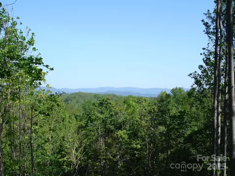 Black Lark Drive, Marion, NC 28752