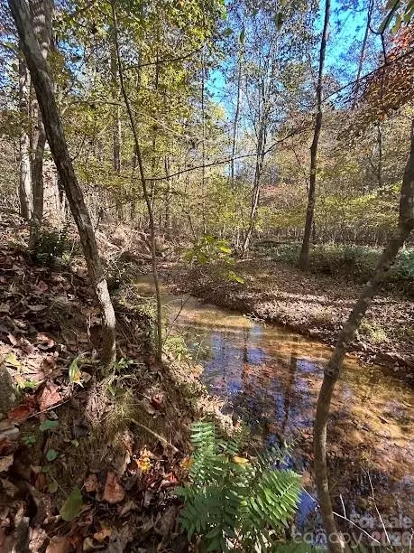Cross Creek 140 Drive #140, Rutherfordton, NC 28139