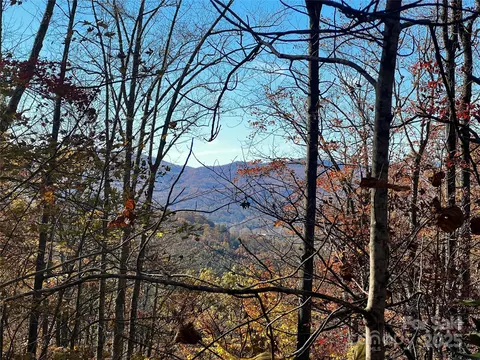 135 Paisley 4 Ln #4, Pisgah Forest, NC 28768