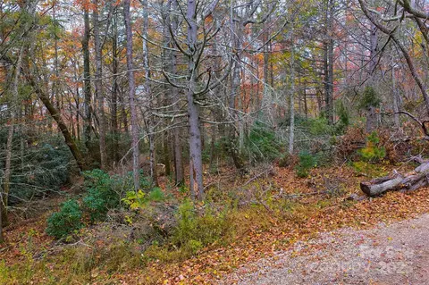 9999 Flat Top Mountain Rd, Fairview, NC 28730 photo 10