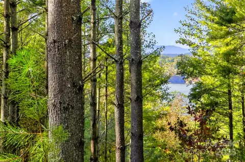 0 W Point Dr, Nebo, NC 28761