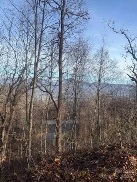 0 Pathways 89 Trl #89, Waynesville, NC 28785