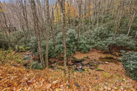 133 Buckeye Ridge Rd, Beech Mountain, NC 28604 photo 36