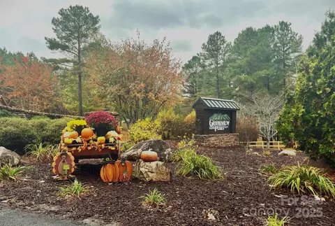 Other - 80 Grandview Loop, Nebo, NC 28761 photo 10 of 12