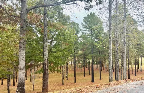 Other - 80 Grandview Loop, Nebo, NC 28761 photo 11 of 12