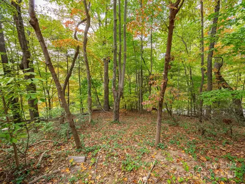00 Fox Trot Ln, Tryon, NC 28782 photo 3