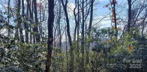 Sunny Drive, Newland, NC 28657