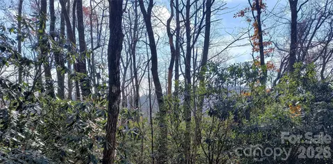 Sunny Drive, Newland, NC 28657
