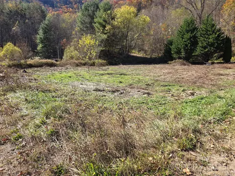 00 Eagles Trce, Canton, NC 28716 photo 6