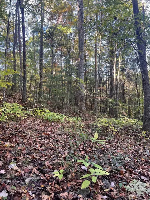 9999 Fox Town Rd, Hot Springs, NC 28743