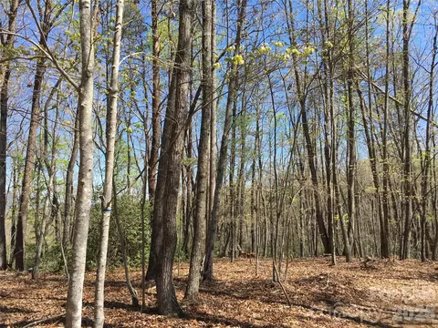 00 Lytle Mountain Rd, Marion, NC 28752 photo 42