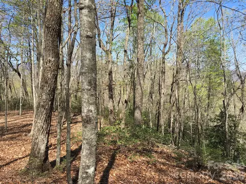 00 Lytle Mountain Rd, Marion, NC 28752 photo 15
