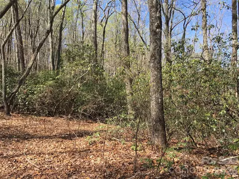 00 Lytle Mountain Rd, Marion, NC 28752 photo 30