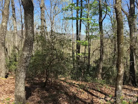00 Lytle Mountain Rd, Marion, NC 28752 photo 26