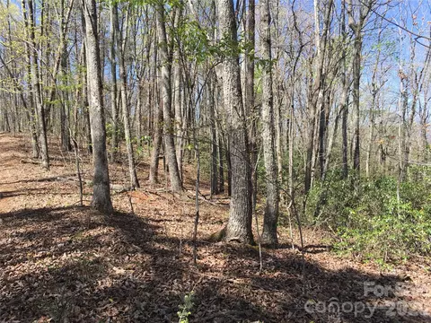 00 Lytle Mountain Rd, Marion, NC 28752 photo 28