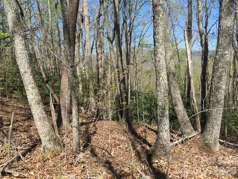 00 Lytle Mountain Rd, Marion, NC 28752 photo 27