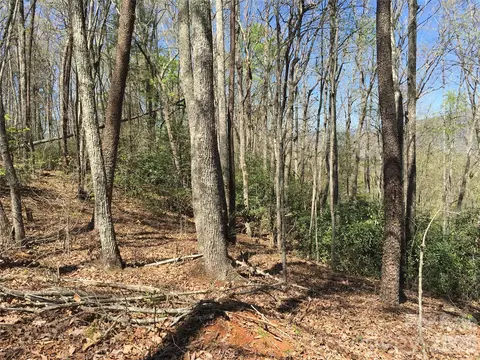 00 Lytle Mountain Rd, Marion, NC 28752 photo 21