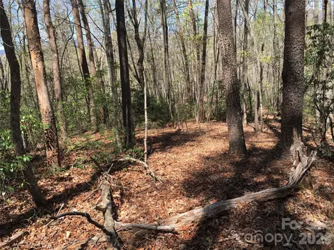 00 Lytle Mountain Rd, Marion, NC 28752 photo 14