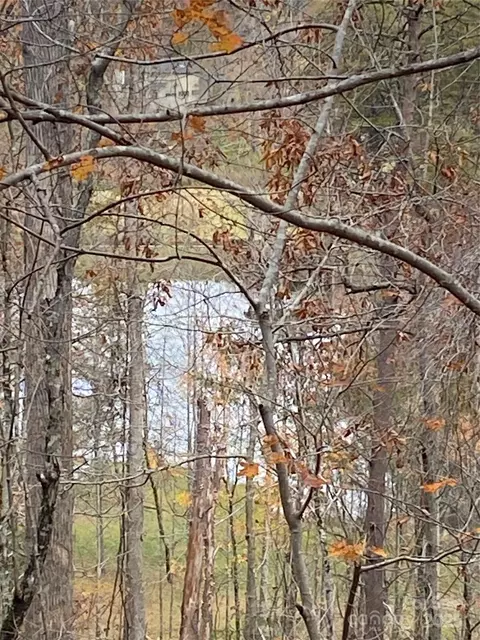 0000 Raleigh 8 9 Dr #8 & 9, Lake Lure, NC 28761