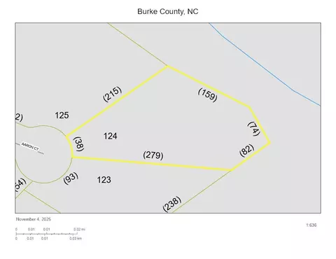 4269 Aaron Ct, Morganton, NC 28655 photo 4