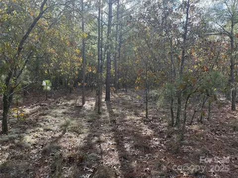0 Fox Rd, Marston, NC 28363 photo 7
