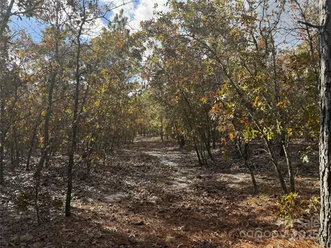0 Fox Rd, Marston, NC 28363 photo 3