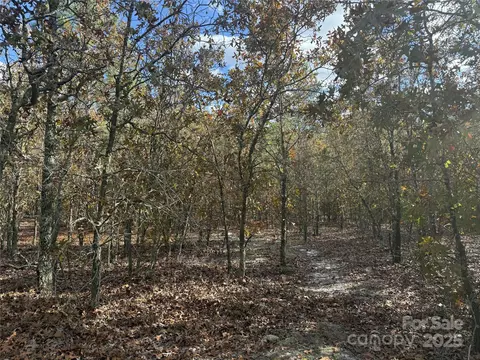0 Fox Rd, Marston, NC 28363 photo 5