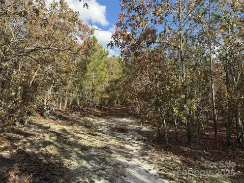 0 Fox Rd, Marston, NC 28363 photo 4