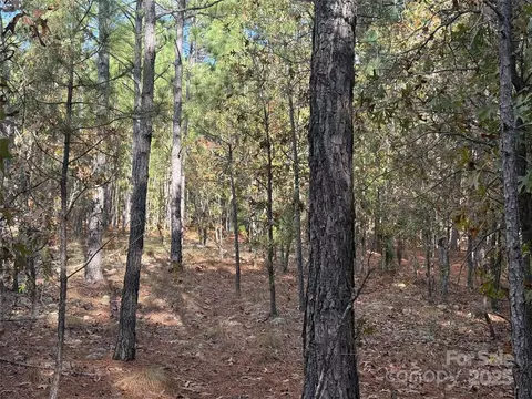 0 Fox Rd, Marston, NC 28363 photo 6