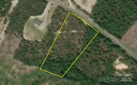 0 Fox Rd, Marston, NC 28363 photo 9